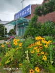 동서트레일 6차(율목리~간대산~삼웅2리) - [동서트레일 사진] - 봄여름가을겨울산악회 동서트레일 6차(율목리~간대산~삼웅2리)