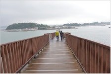 섬&산100-강진군 가우도 2025,05,03,토 - 섬산행 사진 - 산을오르며... 섬&산100-강진군 가우도 2025,05,03,토