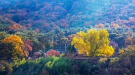 금시당 - 부산/경남지역 - 프로사진작가와 사진교실 금시당