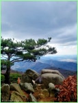 파주 감악산 정기 산행 - 03/14(토) 파주 감악산 정기 산행공지 - 인천 조은산악회 파주 감악산 정기 산행