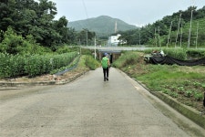 부용지맥 1구간(부용지맥 분기점=＞부용산=＞덕고개) - 윤종국님(16) 카페★ - 와수초등학교 총동문회 부용지맥 1구간(부용지맥 분기점=＞부용산... 