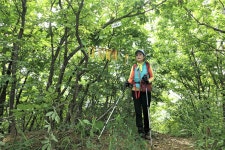 부용지맥 1구간(부용지맥 분기점=＞부용산=＞덕고개) - 윤종국님(16) 카페★ - 와수초등학교 총동문회 부용지맥 1구간(부용지맥 분기점=＞부용산... 