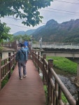 5월 산행을 다녀와서... - 대구소식 - 안동사범 11 회 동기회 5월 산행을 다녀와서...