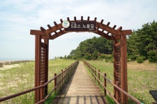 2021년 2월 정기산행 - 정기 산행안내 - 대전대청산악회 2021년 2월 정기산행