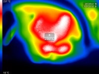 시에나 - {JAPAN,중한자동차 정비} - 울산수입차정비 명성자동차 시에나