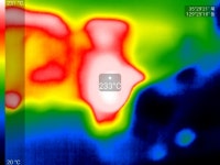 시에나 - {JAPAN,중한자동차 정비} - 울산수입차정비 명성자동차 시에나