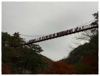제 155차 정기산행 2022年 11月 6日 전북 순창군 팔덕면 강천산 - ──º☆──▶ 정기산행 - 대전뉴월드산악회 제 155차 정기산행 2022年... 