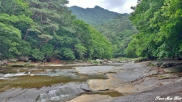 白羽山 894m(2025년7월3일) - 2025년 정기 산행 사진 - 청주목요산악회 白羽山 894m(2025년7월3일)