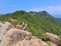곡성 동악산(2) - 2025년 정기 산행 사진 - 청주목요산악회 곡성 동악산(2)