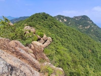 곡성 동악산(2) - 2025년 정기 산행 사진 - 청주목요산악회 곡성 동악산(2)