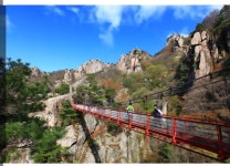 완주 대둔산 단풍 산행 - 정기산행 안내 및 예약 - 여수 오동산악회 완주 대둔산 단풍 산행