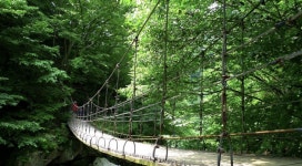 2025년7월 (206차)지리산 구룡폭포 둘레길1코스 - 산너머산악회 - 마운틴 익산 마운틴 익산