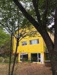 무스카리가 첫 봉오리를 열었다!(2019년 4월 23일 화요일) - 알모책방이야기 - 알모책방 무스카리가 첫 봉오리를 열었다!(2019년 4월 23일... 