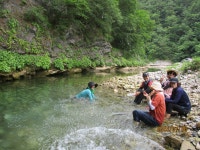 덕산리 계곡 물놀이(2)입니다 - 정기산행 사진방 - 문산자유로산악회 덕산리 계곡 물놀이(2)입니다