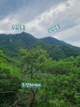 망덕봉(7/20) - 정기산행 사진방 - 문산자유로산악회 망덕봉(7/20)