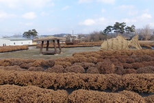 내포문화숲길 백제부흥군길 3, 4코스 광시한우테마공원- 임존산성(봉수산)- 예당호출렁다리 - 자유 게시판 - 영등포 본동 산악회 내포문화숲길... 