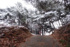 내포문화숲길 백제부흥군길2코스 대현1구마을회관- 장곡산성- 학성산성- 노진리마을회관 - 자유 게시판 - 영등포 본동 산악회 내포문화숲길... 