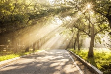 아침풍경 - 자유갤러리 - 들꽃사랑* 아침풍경