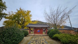 함평향교 - 풍경갤러리 - 들꽃사랑* 함평향교