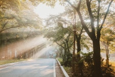 아침풍경 - 자유갤러리 - 들꽃사랑* 아침풍경