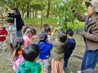 누리반의 사정공원 숲체험(1) - 누리반 - 대전 열린유치원 대전 열린유치원
