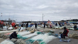 ㅎ ㅎ ㅎ~~해파랑27코스 그냥 웃지여 - 해파랑길 트래킹 사진 - 평택 뫼산악회 ㅎ ㅎ ㅎ~~해파랑27코스 그냥 웃지여