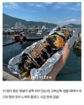 더쿠 - 김밥집 100군데 다닌 김밥처돌이가 꼭 다시 찾아가고 싶은 김밥집 10곳