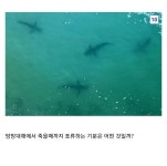 우리를 도와주세요!! - 홍콩할매의 속삭임 - ＊여성시대＊ 차분한 20대들의 알흠다운 공간 우리를 도와주세요!!