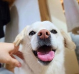 된장찌개로 건물 올렸다는 서울 양평동 식당 - 인스티즈(instiz) 이슈 카테고리 된장찌개로 건물 올렸다는 서울 양평동 식당