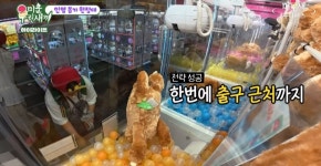 인형뽑기의 달인이라는 조현아 gif - 악플달면 쩌리쩌려버려 - ＊여성시대＊ 차분한 20대들의 알흠다운 공간 인형뽑기의 달인이라는 조현아 gif