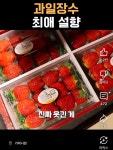 과일장수 유튜버가 사랑하는 설향 딸기 판매자들 - Soul Lounge - 소울드레서 (SoulDresser) 소울드레서 (SoulDresser)