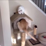 독(dog)타워 - Soul Lounge - 소울드레서 (SoulDresser) 소울드레서 (SoulDresser)