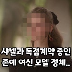 샤넬과 독점계약 중인 모델 - Soul Lounge - 소울드레서 (SoulDresser) 소울드레서 (SoulDresser)