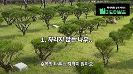 수목장에 대해 잘 몰라서, 수목장 후회한 사람들 - Soul Lounge - 소울드레서 (SoulDresser) 소울드레서 (SoulDresser)