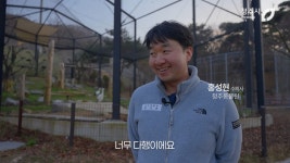 최근 내성발톱 수술한 청주동물원의 순둥이 호랑이 이호.JPGIF - 非스포츠 게시판 - I Love NBA 최근 내성발톱 수술한 청주동물원의 순둥이... 