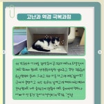 고영희들이 쓴 입양지원서 - Soul Lounge - 소울드레서 (SoulDresser) 소울드레서 (SoulDresser)