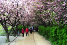 완산칠봉 꽃동산 - 풍경갤러리 - 엔탈피 포토 완산칠봉 꽃동산