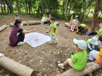 ❤️7월1주 빛나는 숲 야곱반이야기❤️ - 빛나는 숲 야곱반 - 용인성체유치원 ❤️7월1주 빛나는 숲 야곱반이야기❤️