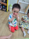 오감놀이 수박🍉🍉 - ············ 예쁜새싹(만1세) - 사랑속에서 꿈을 키우는 세계로교회 부설 제일어린이집 오감놀이 수박🍉🍉