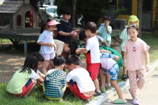 슬기로운 여름 생활 - ············ 행복나래(만5세) - 사랑속에서 꿈을 키우는 세계로교회 부설 제일어린이집 슬기로운 여름 생활