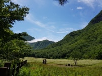 울릉도의 추억 - 자유 게시판 - 사단법인경상북도숲해설가협회 울릉도의 추억