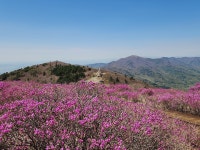 5/6(수) 지리산 노고단 진달래꽃 평일 힐링 여행(우등리무진) - ☆.. 5/6(수) 지리산 노고단 진달래꽃 평일 힐링여행 - 행복공감여행 5/6(수) 지리산... 