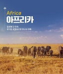 [공식인증전용][추석연휴] 아프리카 6개국 10일 (케냐/탄자니아/잠비아/짐바브웨/보츠와나/남아공) - 유럽/아프리카 - 행복공감여행...