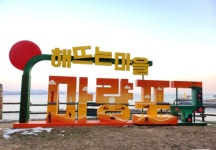 마량스팀세차장 | 3/28(토) 서천 마량리 동백나무숲길 & 마량포구 여행 - ☆..3/28(토) 서천 마량리 동백나무슾길&마량포구 - 행복공감여행 3/28(토) 서천 마량리...