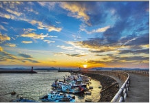 3/28(토) 서천 마량리 동백나무숲길 & 마량포구 여행 - ☆..3/28(토) 서천 마량리 동백나무슾길&마량포구 - 행복공감여행 3/28(토) 서천 마량리... 