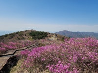5/6(수) 지리산 노고단 진달래꽃 평일 힐링 여행(우등리무진) - ☆.. 5/6(수) 지리산 노고단 진달래꽃 평일 힐링여행 - 행복공감여행 5/6(수) 지리산... 