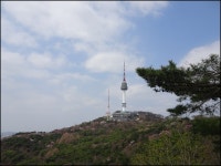 남산 둘레길 - 개인산행/사진 - 광주에코힐링 남산 둘레길