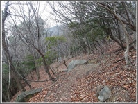 부산 가덕도 갈맷길 매봉 연대봉 - 개인산행/사진 - 광주에코힐링 부산 가덕도 갈맷길 매봉 연대봉