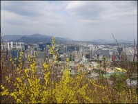 남산 둘레길 - 개인산행/사진 - 광주에코힐링 남산 둘레길