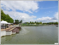 순천만 정원 - 개인산행/사진 - 광주에코힐링 순천만 정원